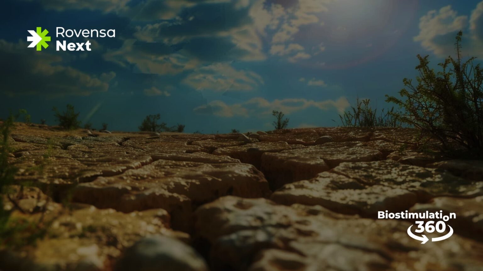 abiotic-stress-BIO-360o-1536x864